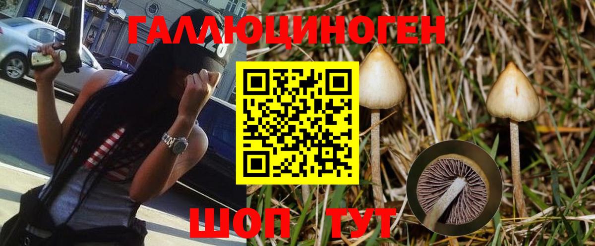 Ивантеевка  Галлюциногенные грибы мухоморы  где купить наркотик  Вход с VPN 